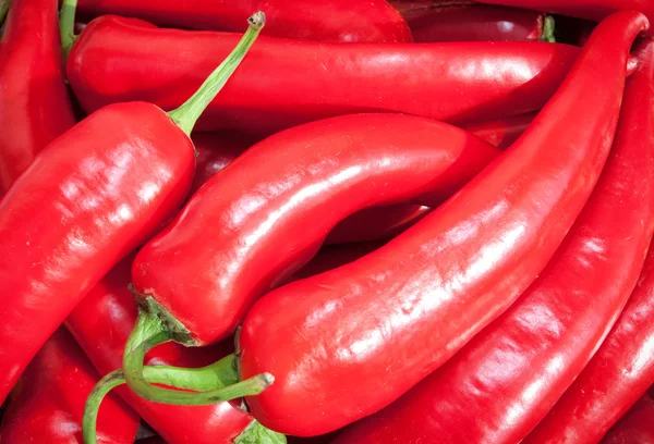 Red Hot peppers — Stock Photo, Image