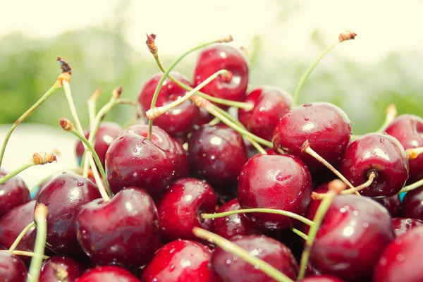 Cerezas maduras — Foto de Stock