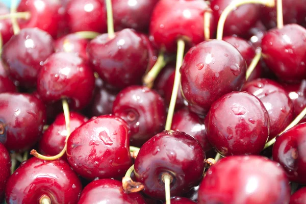 Cerezas maduras — Foto de Stock