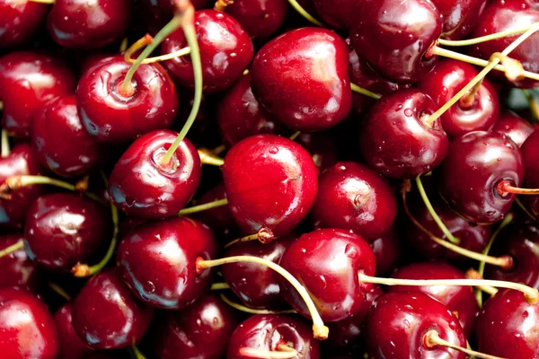 Ripe cherries — Stock Photo, Image