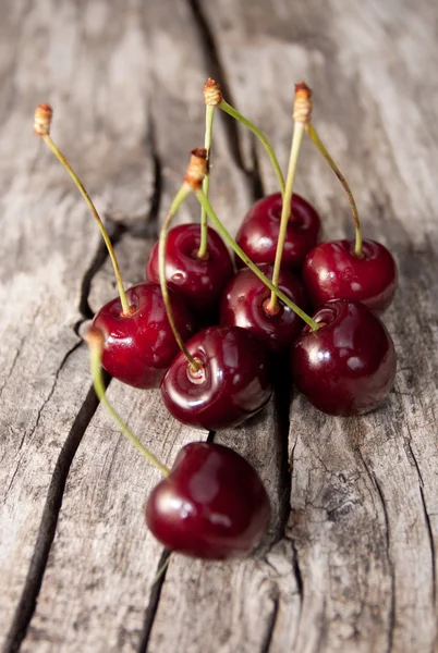 Ripe cherries — Stock Photo, Image