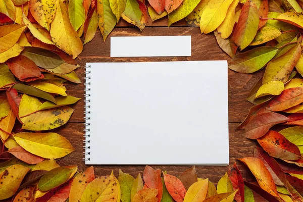 Sarı, yeşil, kırmızı sonbahar yapraklarından oluşan bir çerçevede kahverengi tahta bir masanın üzerinde dikdörtgen kağıt olan beyaz, yaylı Notepad, okul konseptine, tebrik kartına, kopyalama alanına geri dönüyor.