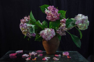 Siyah arka planda pembe ortanca çiçekleri. Su damlaları ve kil sürahide düşen yapraklar. Hayat, tebrik kartı konsepti.