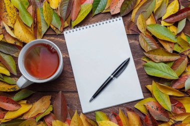  Bir yay üzerinde beyaz kağıt defter ve kahverengi ahşap arka planda siyah bir kalem üzerinde sarı, yeşil, kırmızı sonbahar yaprakları, üzerinde bir kupa çay, okula dönüş konsepti, bir liste.