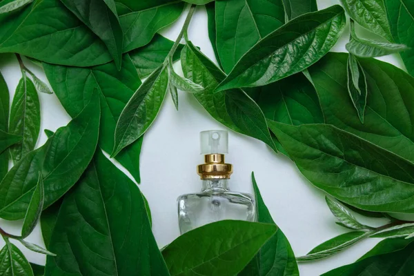 Beyaz Arka Planda Yeşil Yapraklı Şeffaf Parfüm Spreyi Kadın Aksesuarları — Stok fotoğraf