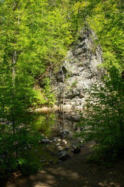 Freital Dresden yakınlarındaki Rabenauer Grund 'daki Weiseritz vadisindeki nehir manzarası.
