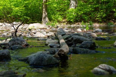 Freital Dresden yakınlarındaki Rabenauer Grund 'daki Weiseritz vadisindeki nehir manzarası.