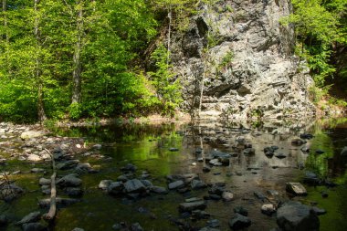 Freital Dresden yakınlarındaki Rabenauer Grund 'daki Weiseritz vadisindeki nehir manzarası.