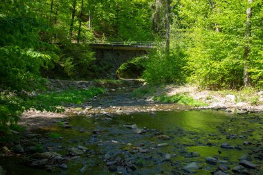 Freital Dresden yakınlarındaki Rabenauer Grund 'daki Weiseritz vadisindeki nehir manzarası.
