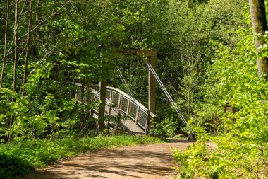 Freital Dresden yakınlarındaki Rabenauer Grund 'daki Weiseritz vadisindeki nehir manzarası.