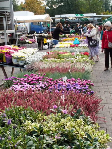 Folk köper höst blommor på en belgiska marknaden. — Stockfoto