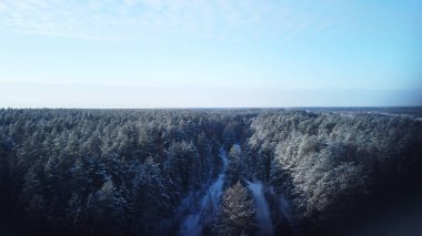 Kış ormanının havadan görünüşü. Çam ve Ladin kış geçmişi. Havadan kış manzarası. Drone ile doğal orman geçmişi. Kış ormanı..
