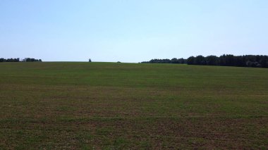 Taze çiçekli çayır. Hava fotoğrafçılığı. Tarla ve orman.