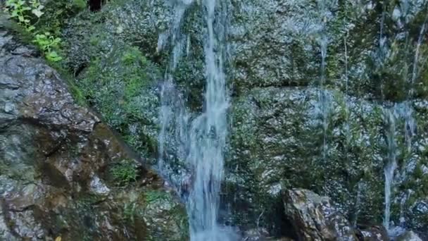 Гірський Струмок Потік Прохолодної Гірської Води Охолоджений Водоспад Горах Крижана — стокове відео