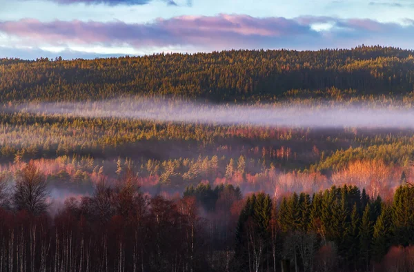 Paisagem Outono Nebulosa Com Montanhas Floresta Fundo — Fotografia de Stock