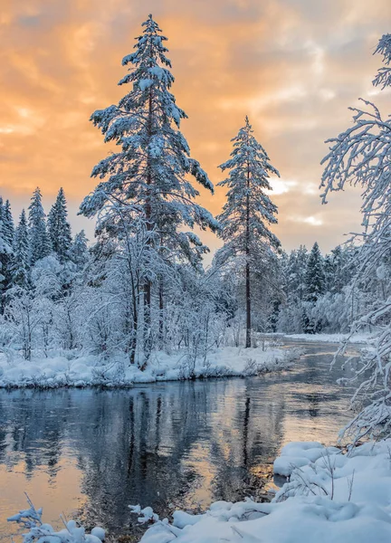 Winter River Nordmark Sweden Beautiful Morning Magical Lights Stock Picture