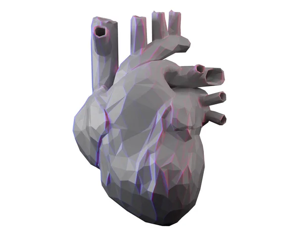 Corazón Anatómico Poli Gris Bajo Corazón Humano Papel Render — Foto de Stock