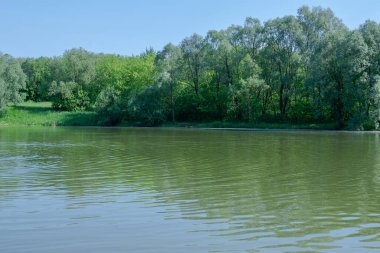Yazın Rusya 'da göletin manzarası