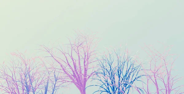 Decorative Pink Blue Trees Light Blue Background Render — Stock Photo, Image