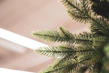 Yeşil Yapay Noel Ağacı Şubesi, yeni yıla hazırlanıyor.