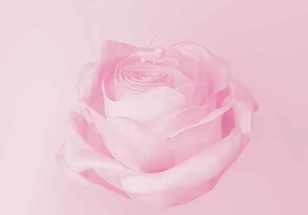 Jedna Elegantní Světle Růžová Pastelová Růže Korálky Podání — Stock fotografie