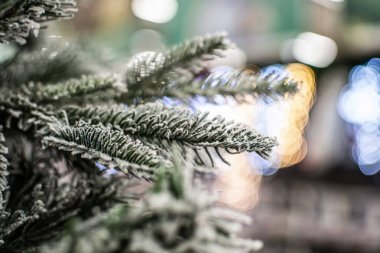 Yeşil Yapay Noel Ağacı Şubesi ve Bokeh, yeni yıl arkaplanı
