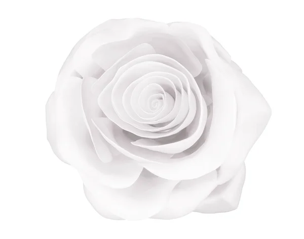 Jedna Elegantní Bílá Růže Zblízka Izolovaná Bílém Vykreslení — Stock fotografie