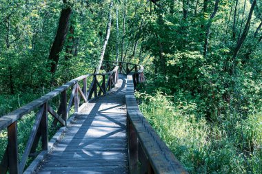 Ormandaki bataklıkta güzel bir yürüyüş yolu veya ahşap bir patika