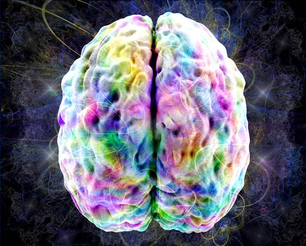 Aktivitas Otak Model Otak Manusia Berwarna Tampilan Atas Ilustrasi — Stok Foto