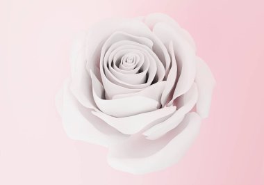 Açık pembe arkaplana yakın zarif bir beyaz gül, 3D görüntüleme