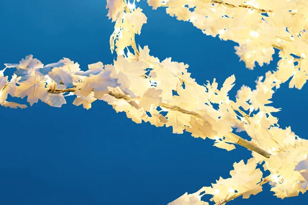 Штучна жовта кленова гілка - вуличні прикраси — стокове фото