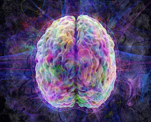 Overmind, aktivitas otak, model overbrain manusia berwarna, tampilan atas, ilustrasi 3d — Stok Foto