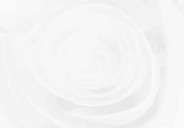 Елегантний Світло Білий Квітковий Фон Троянди Візуалізація — стокове фото