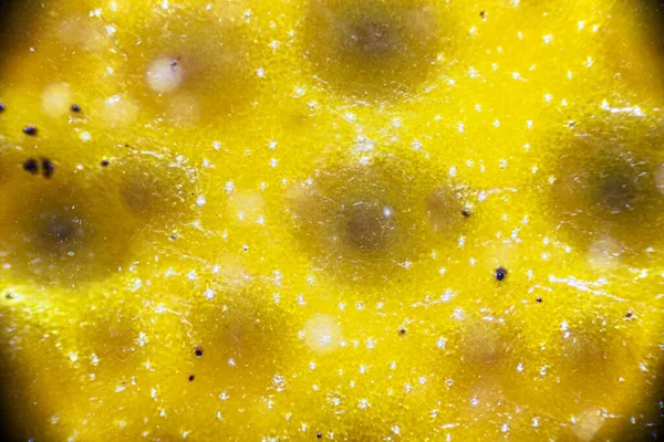 Mandarijn Schil Onder Lichte Microscoop Gedetailleerde Peeling Close Vergroting Keer — Stockfoto