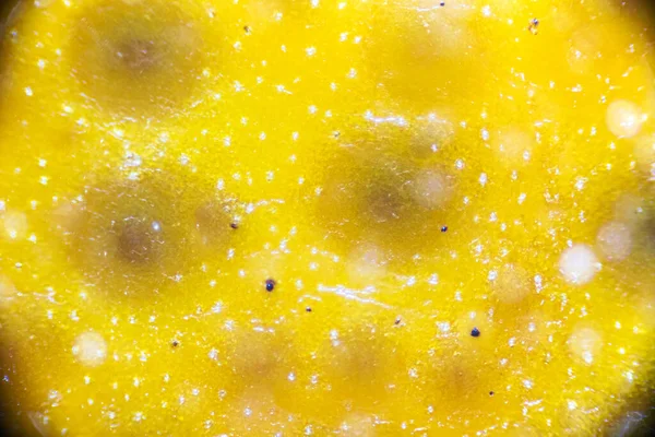 Kulit Mandarin Bawah Mikroskop Cahaya Kulit Rinci Menutup Perbesaran Kali — Stok Foto