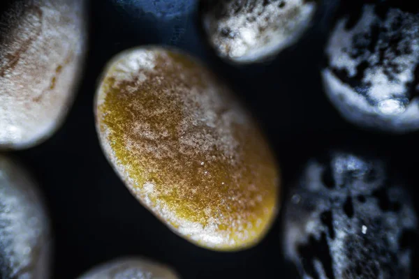 Biji Chia Menutup Bawah Mikroskop Cahaya Perbesaran Kali Fokus Lembut — Stok Foto