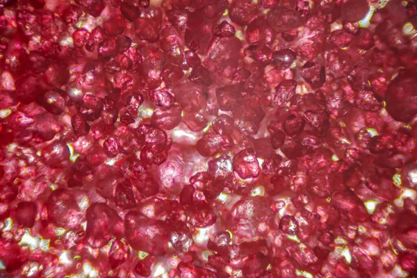 Red Kinetic Sand Macro Close Light Microscope — Stok Foto