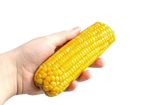 Boiled corn in hand on white background — Stock Photo, Image