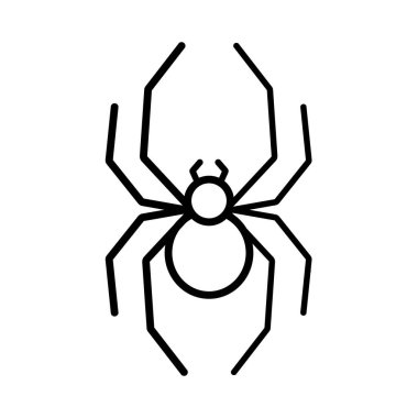 Vector line icon of spider isolated on white background. Minimalist outline insect illustration.