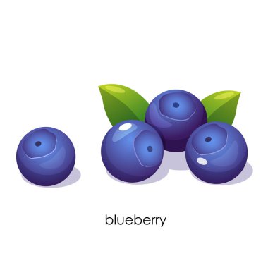 Beyaz bir arkaplanda harf ile izole edilmiş taze yaban mersini tasviri.