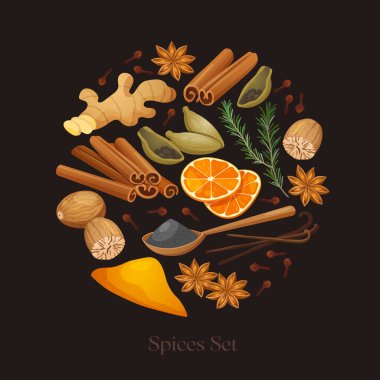 Tarçın çubukları, hindistan cevizi, karanfil, zerdeçal tozu, anason yıldızları, zencefil kökü, biberiye filizi, kakule kabukları, ahşap kaşıkta kara biber, vanilya çekirdeği ve kurutulmuş portakal dilimleri de dahil olmak üzere beyaz arkaplandaki kış baharatlarının resmi.