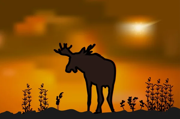 Moose silhouette al tramonto — Vettoriale Stock