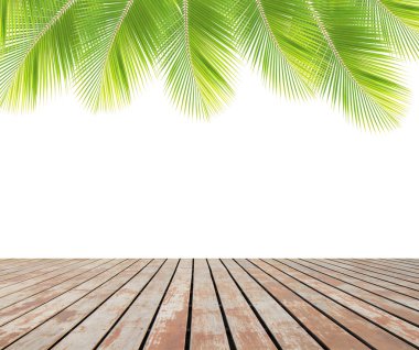 Yeşil Hindistan cevizi ahşap zemin üzerinde bırakır