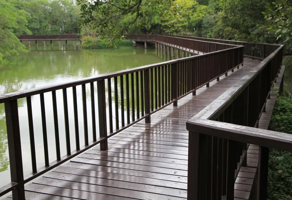 Wooden bridge over the lake through the forest