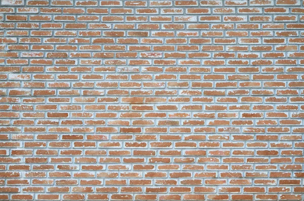 Texture ou arrière-plan de vieux murs de briques — Photo