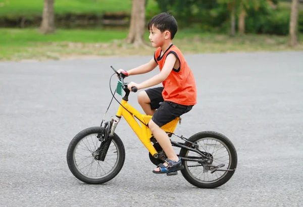 公園で自転車に乗るアジア系の少年 — ストック写真