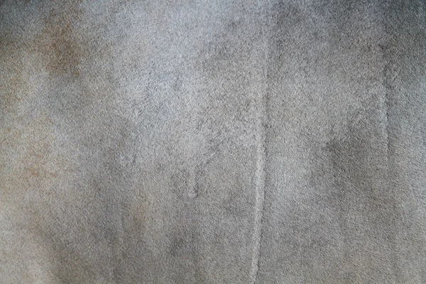 Kráva kůže texturou — Stock fotografie