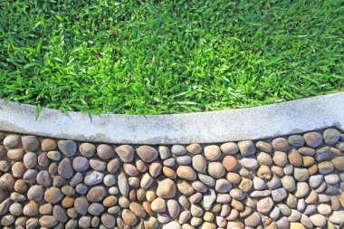 Yeşil çim ve taş zemine arka plan