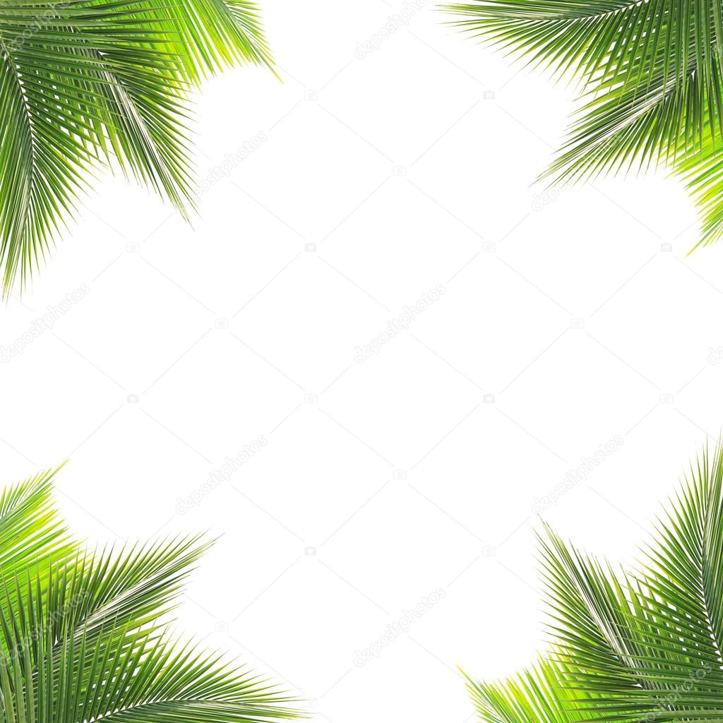 Green coconut leaf frame