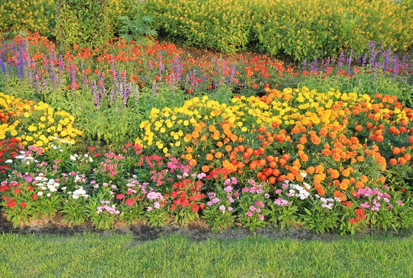 Paisaje un sendero en el jardín . — Foto de Stock